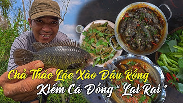 Chả Cá Thác Lác Xào Đậu Rồng - Rô Đồng Kho Nước Cơm, Mồi đồng lai rai cùng Anh Em | Tập 44
