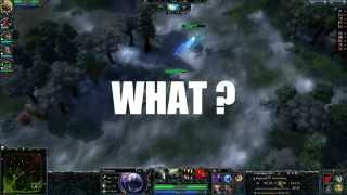 BUG HON !!