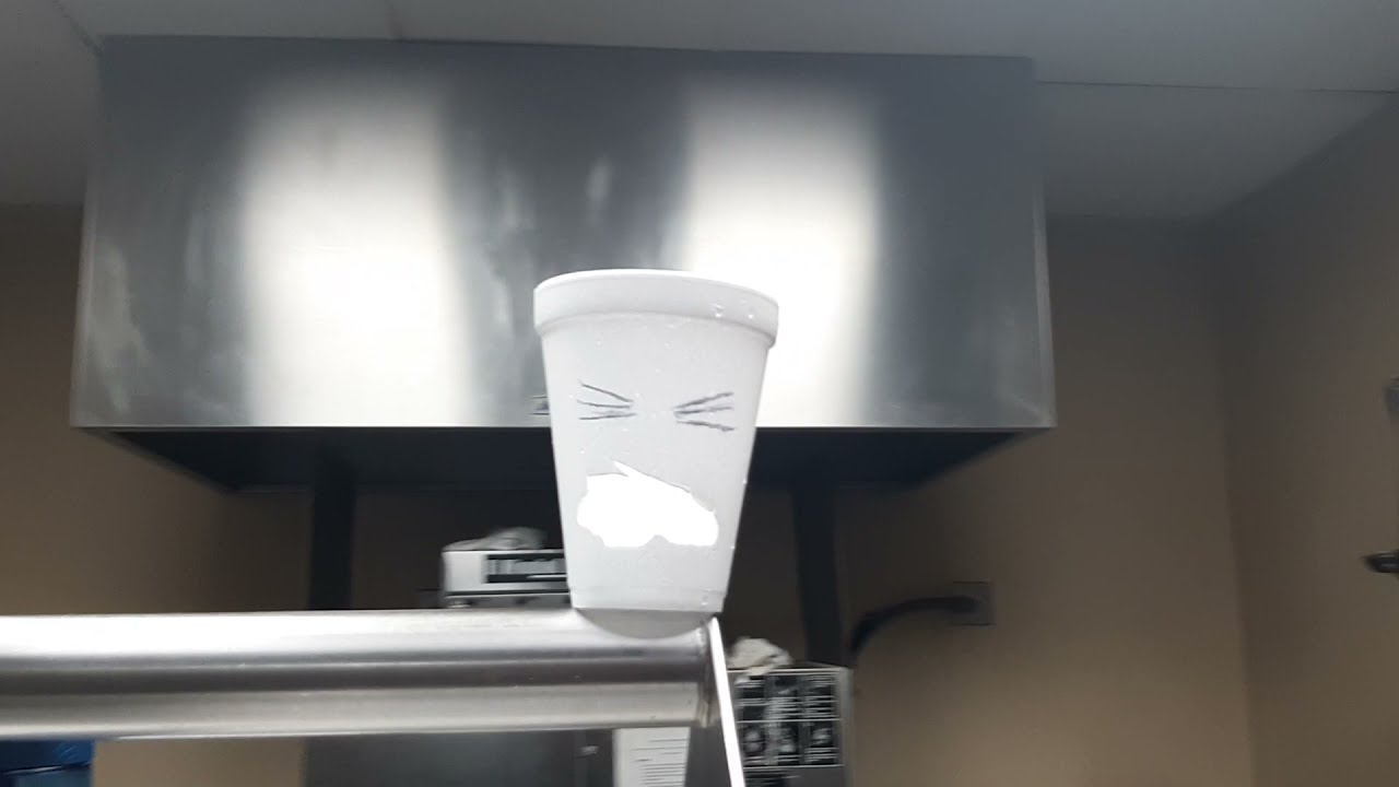 Watch Dish Pit Shenanigans - Styrofoam Cup Man on YouTube Watch Dish Pit Shenanigans - Styrofoam Cup Man on YouTube