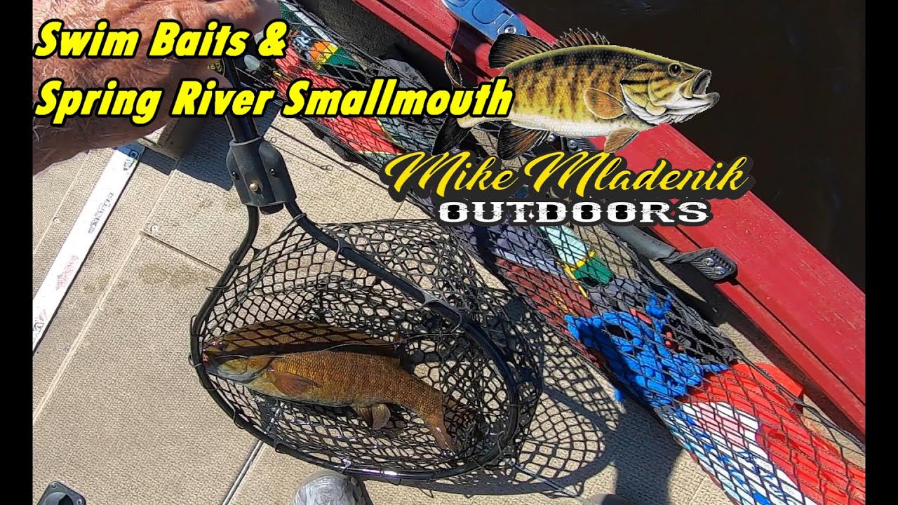 Swimbaits for spring River Smallmouth YouTube
