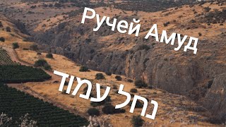 Ручей Амуд Кабан Даманы