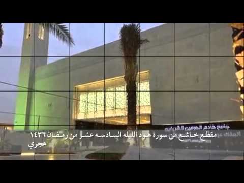 ونادى نوح ابنه وكان في معزل يا بنى اركب معنا صوت رائع ناصر القطامى 