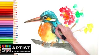 Today in this watercolor painting for beginner video, we do kingfisher
bird using watercolor, you to try out watercolour tutorial. if l...