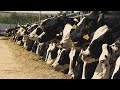 Holstein America: February 2021