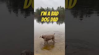 Being a BAD dog dad! #dog #weimaraner #vanlifers #vanlifer #baddogdad