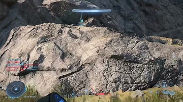 Halo Infinite: Stealing a Wasp