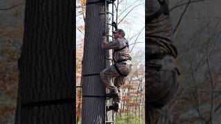 Surprised While Climbing - Nothing You Can Do #deerhunting #treestands #funnyvideos #hunting #deer