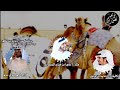 مكسب الطايلات علي ابن هياي محمد آل نجم حصريا 2020 مكسب الطايلات علي ابن هياي محمد آل نجم حصريا 2020