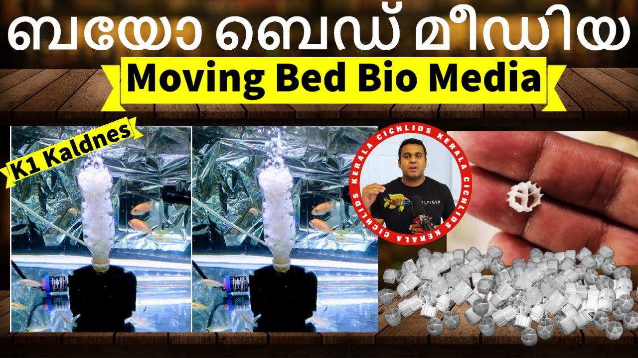 How to Set up a DIY Moving Bed BioMedia Sponge Filter for Your