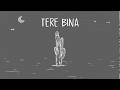 AUR TERE BINA Official Visualizer 