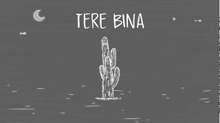 AUR - TERE BINA (Official Visualizer)
