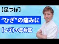【足つぼ】ひざの痛みが軽くなる反射区！足をもむだけでひざの痛みが軽くなります！【足のもみ方】