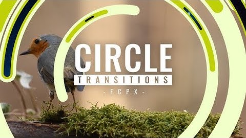 Circle Transitions Final Cut Pro Templates