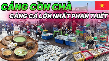 🇻🇳Chợ Cá lớn Nhất PHAN THIẾT Cháo Cá Nục Món Ngon Khó Cưỡng
