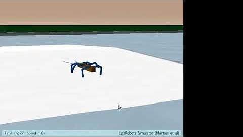 Galloping gait-Adaptive embodied locomotion control systems course