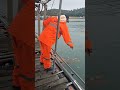 야간 낚시가능 어추 우럭 사이즈 대일수산좌대 #fishing #낚시 #ai #video #뉴스 #shorts #ai  #캠핑 #좌대 #텐트 #캠핑카 #야간낚시터 #동호회 #취미
