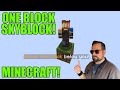 MINECRAFT - One Block SkyBlock