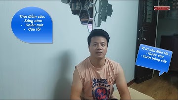 Cách lựa chọn vị trí câu cá và thời điểm câu cá theo mùa