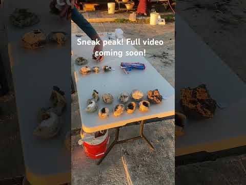 Best Rock Competition