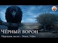 Чёрный ворон