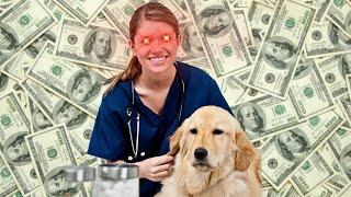 ⬆️ Here's Why Your Vet Bills ARE GOING UP. CMA Investigates Concerns Of Overcharging ⬆️