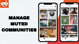 How To Manage Muted Communities On Reddit App