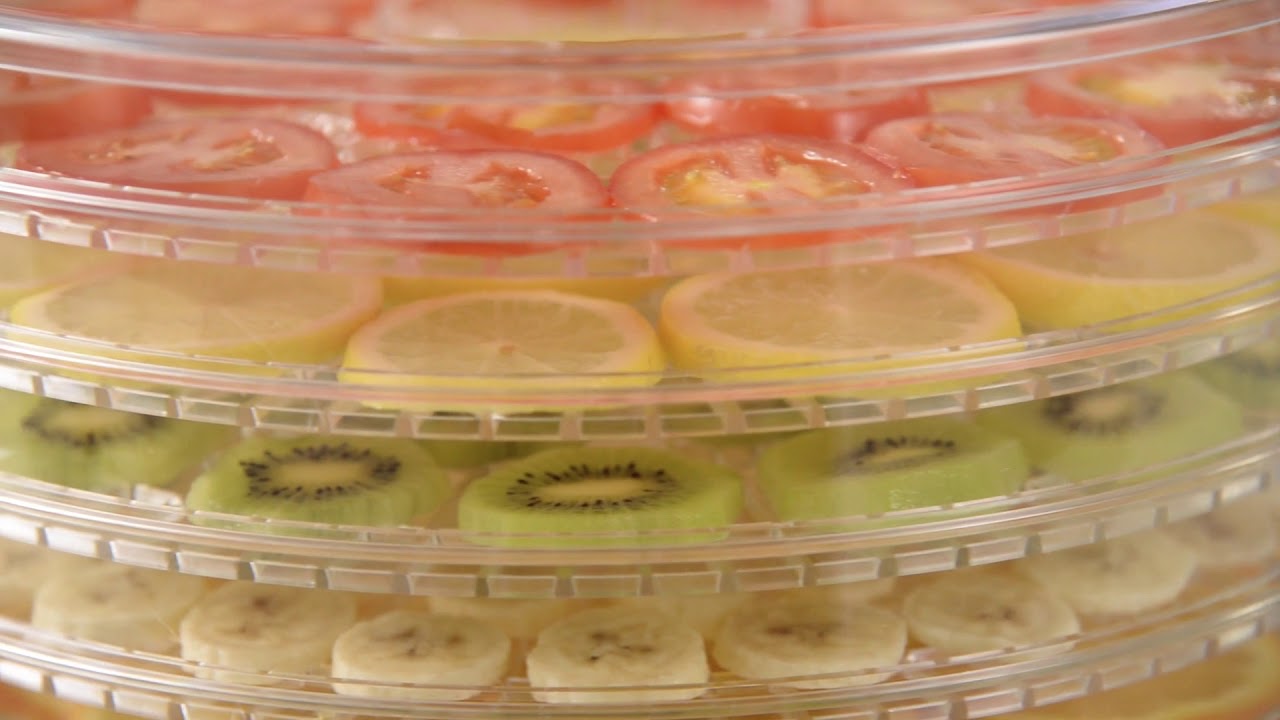 MisterChef® Food Dehydrator, 250W Large 5 Trays Perfect for Healthy