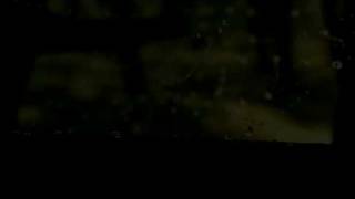Cinema4D Spider and Centipede - 1008 Feet
