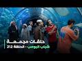 حلقات مجمعة من مسلسل شباب البومب حلقة 212 