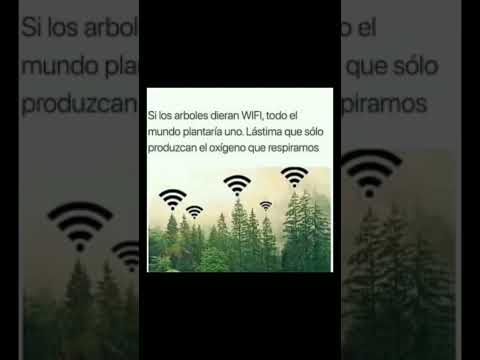 Si los árboles dieran wifi #motivación #desarrollopersonal