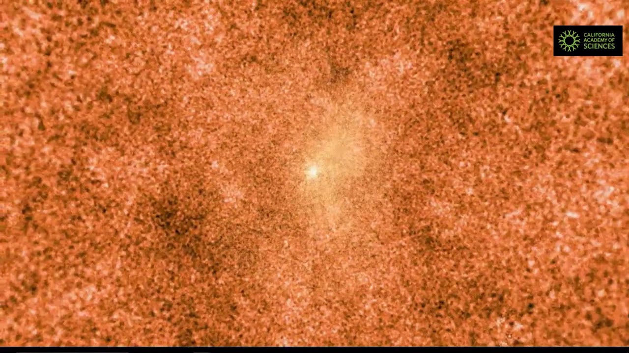 Live on October 26: Tour of the Universe from Morrison Planetarium