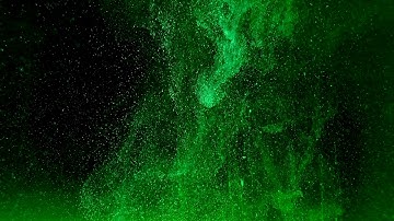 Make Noise Morphagene & Strymon Magneto