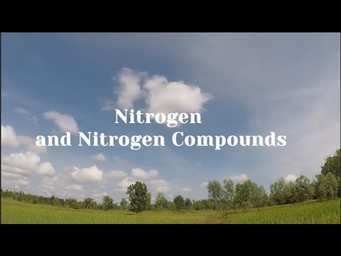 Nitrogen and Nitrogen Compounds