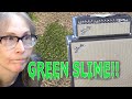 Green Slime In My 1967 Dual Showman Amp!  WTF???