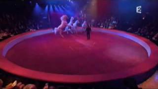 Video thumbnail of "Raphael (Osez josephine Bashung Gala de l'Union des Artistes 2010)"