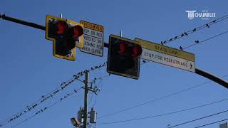 Crosswalk Safety (Spanish)