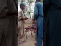 zulqurnain zulqurnain #song #music #gangster #bolleywoodsong