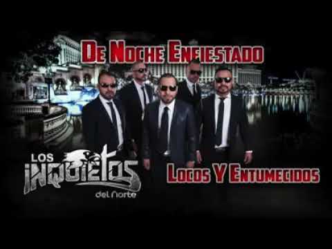 Andamos Locos Y Entumecidos - Los Inquietos Del Norte