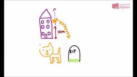 What is survival bias?