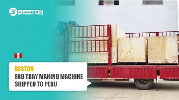 BTF1-4 Egg Tray Making Machine Shipped to Peru