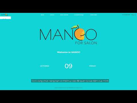 Mango For Salon - Introduction / Get Started