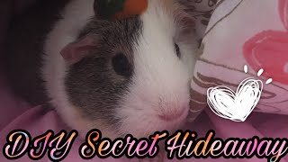 DIY Secret Hideaway!