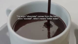 Can chocolate really make you happier? Science says yes! by Curiosity 109 views 9 months ago 4 minutes, 25 seconds