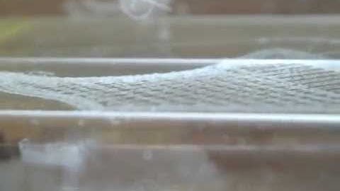 Electrohydrodynamic printing of nasal septal scaffolds