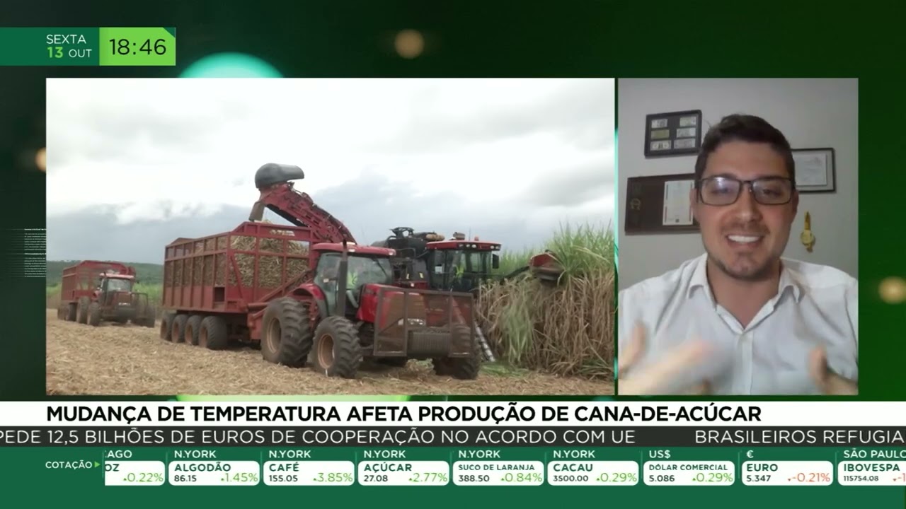 Mudança de temperatura afeta produção de cana-de-açúcar