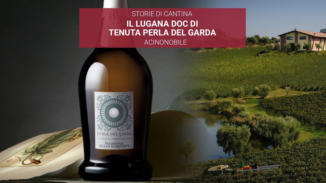 🍇Lugana Superiore | La Perla del Garda | Madonna della Scoperta