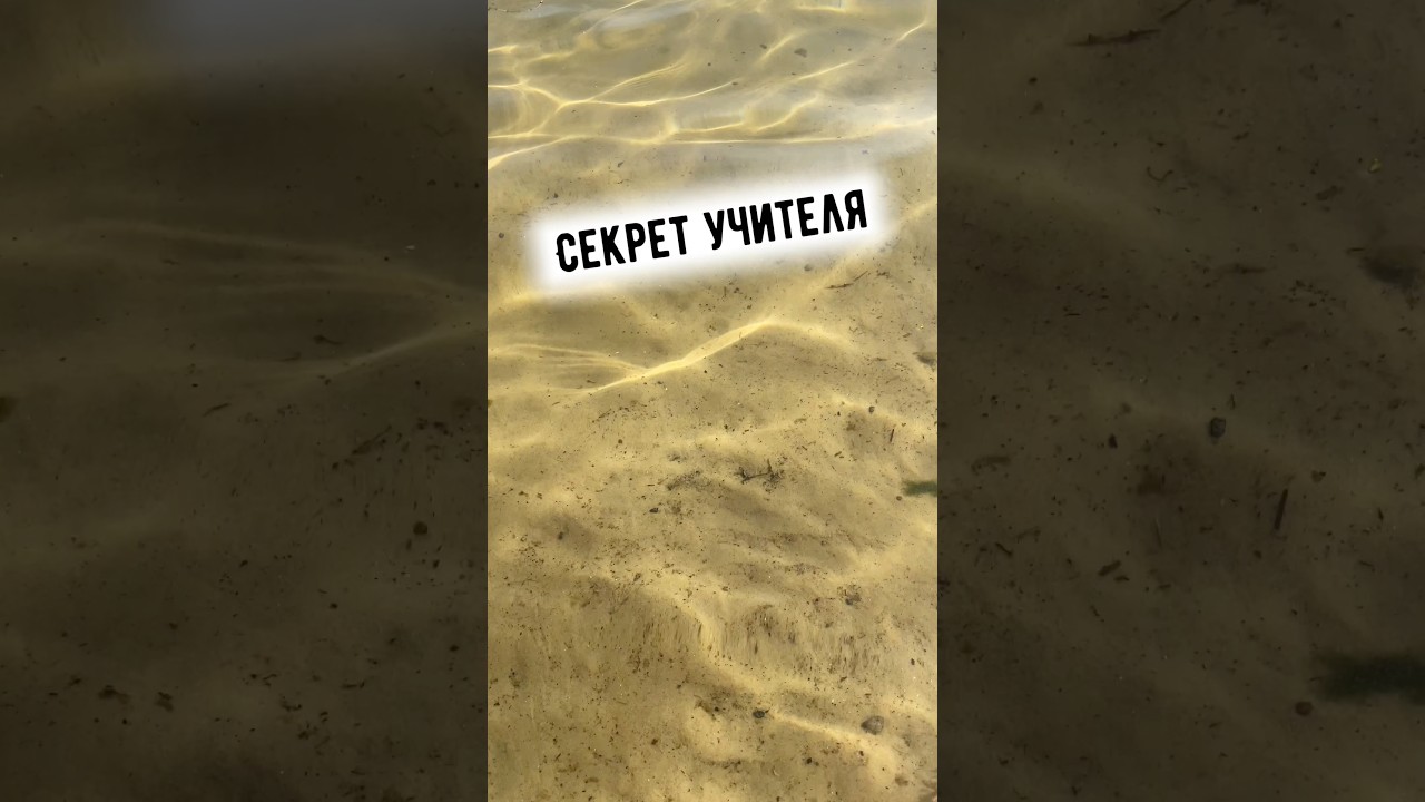 preview_player