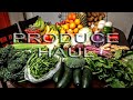 WEEKLY PRODUCE HAUL + How I store my fruits and vegetables the simple way
