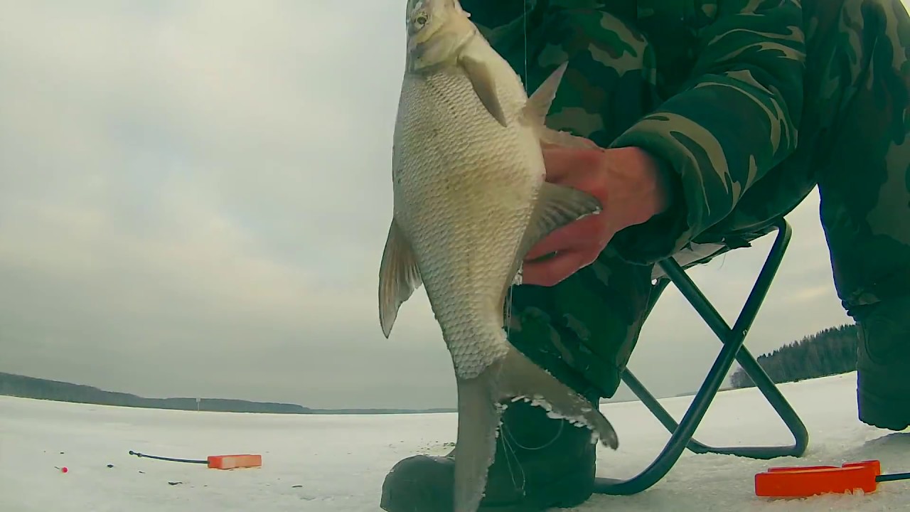 Зимняя рыбалка. Ловля леща и плотвы. Подводная камера