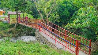 No One Believed Talented Girl Could Build a Flood-Resistant Bridge Alone in Just 39 Days